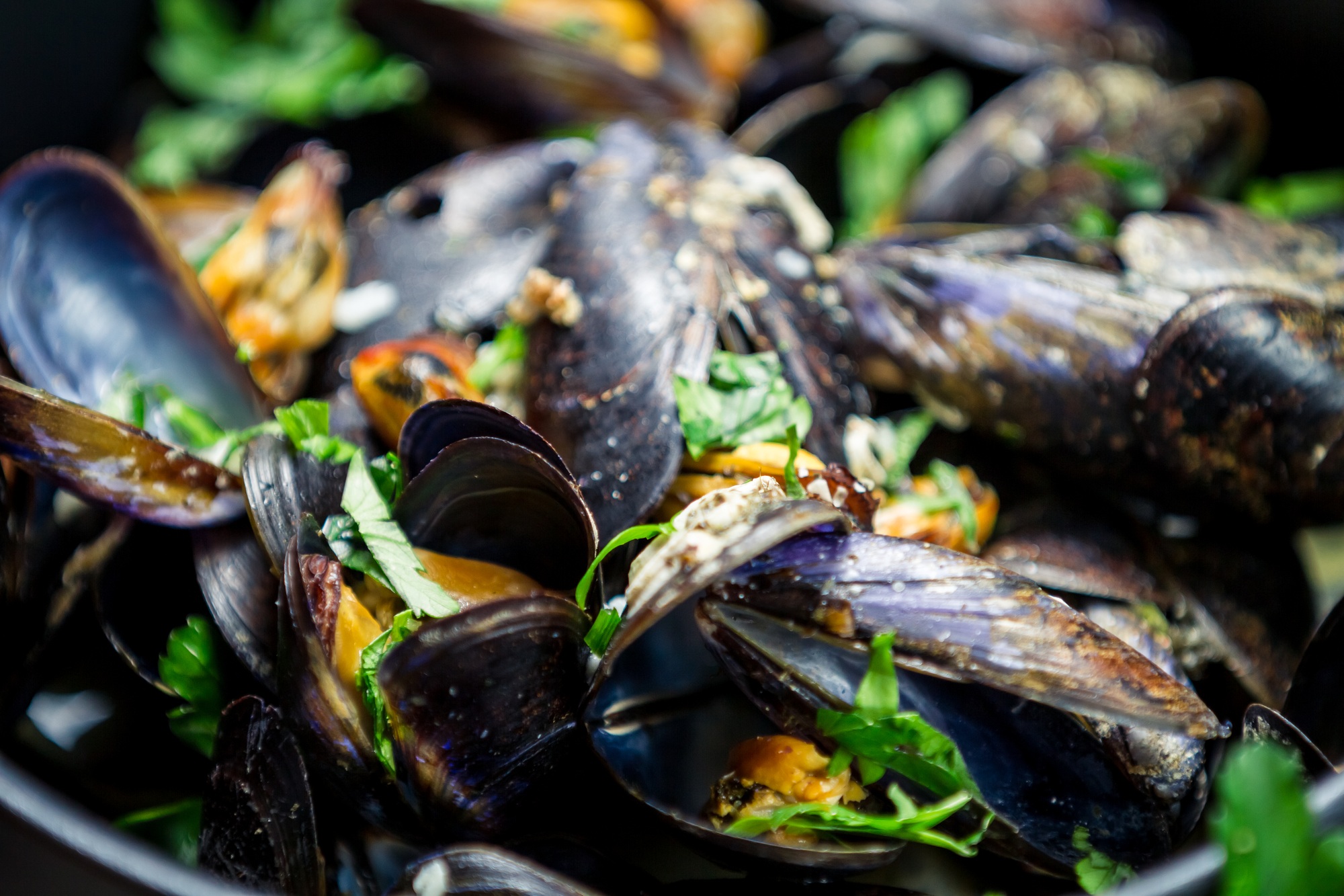 Closeup of cooked mussels with garlic and parsley