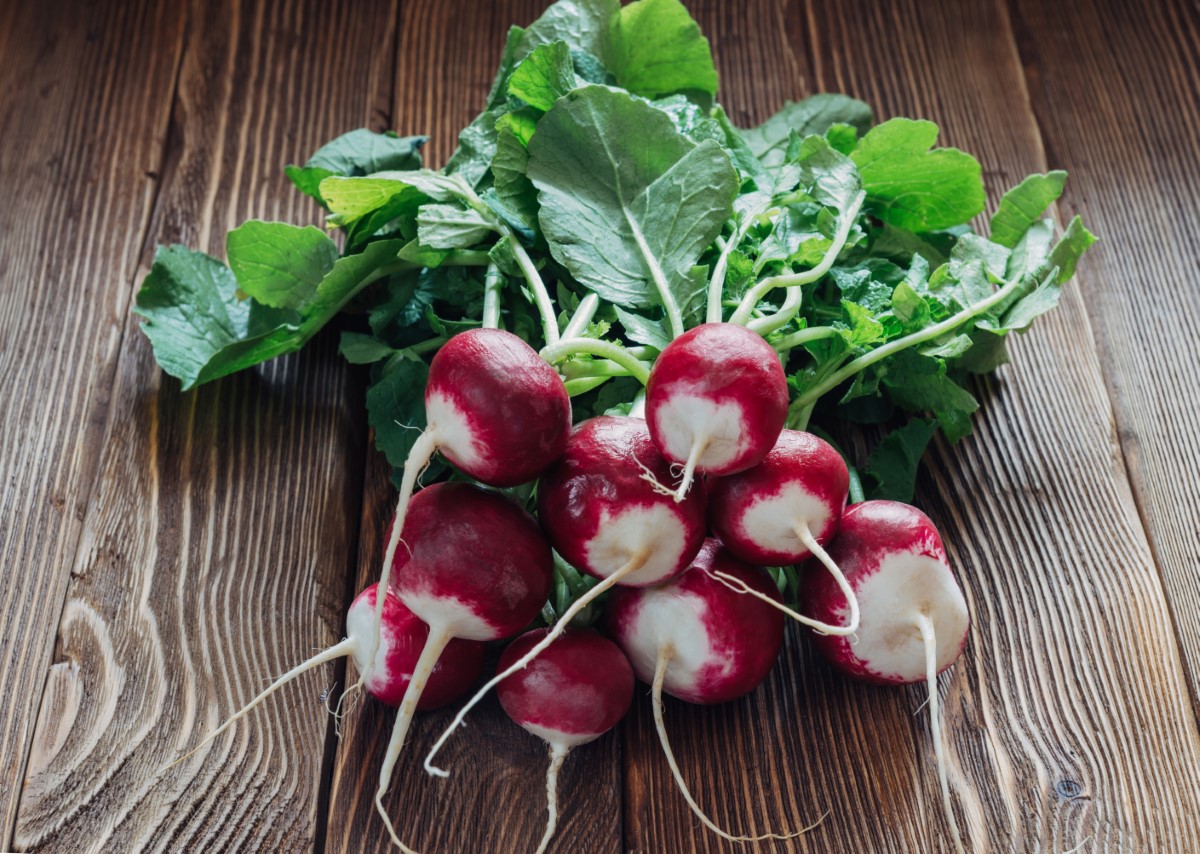 4 recettes créatives pour transformer le radis en vedette de vos apéritifs