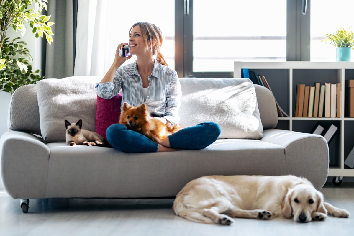 Gargouillements chez le chien : quand s’inquiéter pour sa santé ?